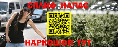 гашик Пыть-Ях